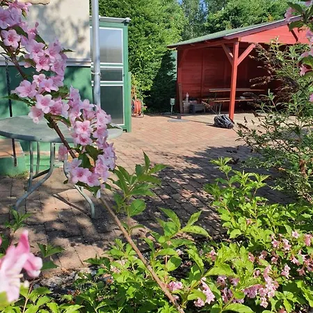 Dunabeach Holiday home Szigetszentmarton